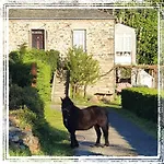 Casa Do Hiebra Rural Ribeira Sacra Vakantiehuis *