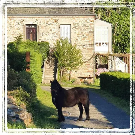Casa Do Hiebra Rural Ribeira Sacra 別荘 *
